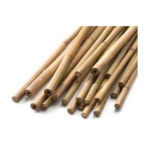 Bamboo Canes 5Ft 24-26 Lbs (12-14Mm)