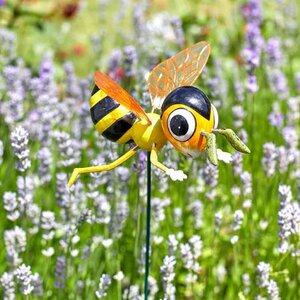 Bee Loony Stakes - image 4