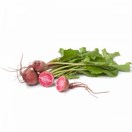 Beetroot Barbabietola Di Chioggia Kings Seeds