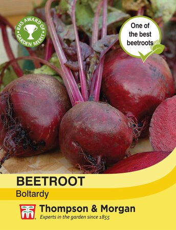 Beetroot - Boltardy - Thompson and Morgan Seed Pack - image 1