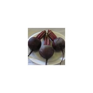 Beetroot Red Ace F1 Kings Seeds