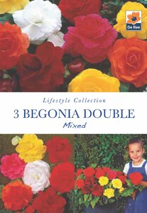 Begonia Double Mixed 3 Bulb Pack