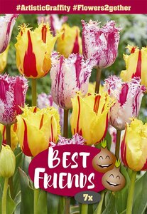 Best Friends Bulb Box - Artistic Graffity - 7 Bulb Box