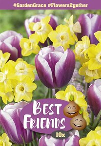 Best Friends Bulb Box - Garden Grace - 10 Bulb Box