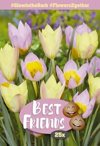 Best Friends Bulb Box - Glow in the Dark - 25 Bulb Box
