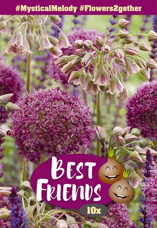 Best Friends Bulb Box - Mystical Melody - 10 Bulb Box