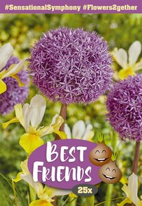 Best Friends Bulb Box - Sensational Symphony - 25 Bulb Box
