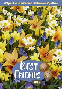 Best Friends Bulb Box - Spectacular Crowd - 30 Bulb Box