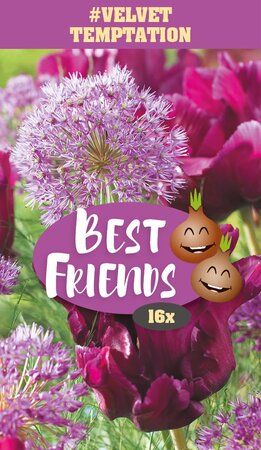 Best Friends Bulb Box - Velvet Temptation - 16 Bulb Box