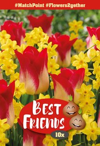 Best Friends Bulb Pack - Match Point - 10 Bulb Pack