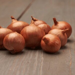 Biztro Shallots - 500g