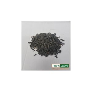 Black Sunflower Seeds 12.75 Kg (Zero Rated Vat)