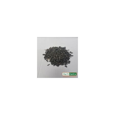 Black Sunflower Seeds 20 Kg (Zero Rated Vat)