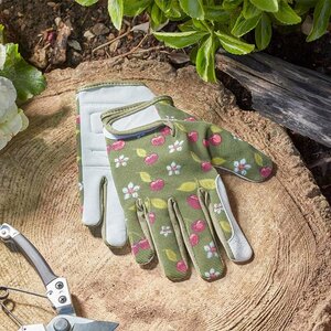 Briers Cherry Smart Gardeners Medium