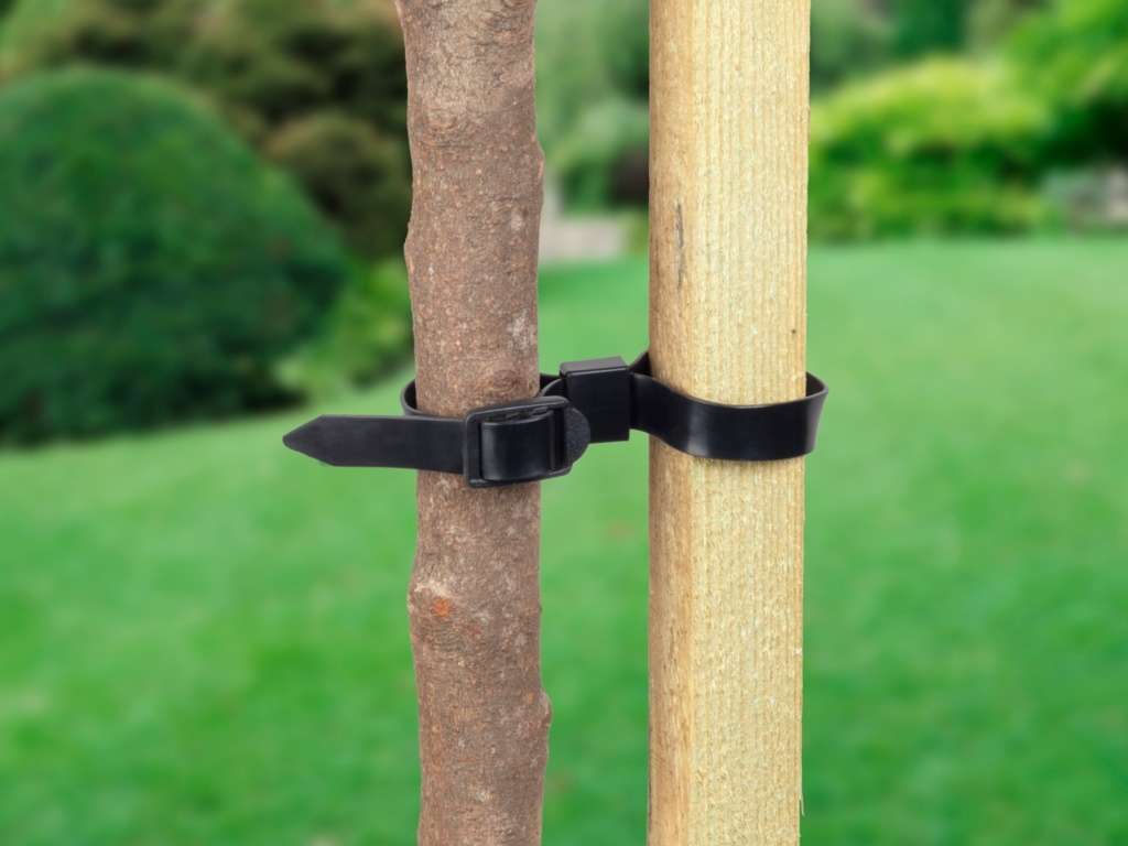 Buckle 24" Tree Ties Horticentre Your Family Run Garden Centre in