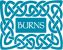 Burns