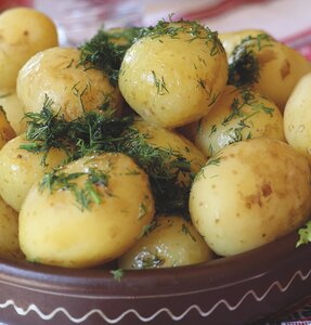 Buster Scottish Seed Potatoes 25kg