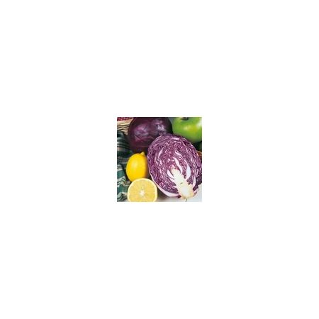 Cabbage Red Drumhead Kings Seeds