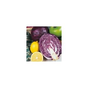 Cabbage Red Drumhead Kings Seeds