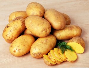 Caesar Scottish Seed Potatoes 25kg