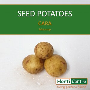 Cara Scottish Seed Potatoes 20Kg