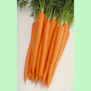 Carrot Sugarsnax 54 F1 Kings Seeds