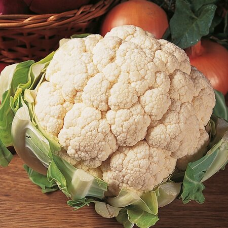 Cauliflower Aalsmeer Kings Seed