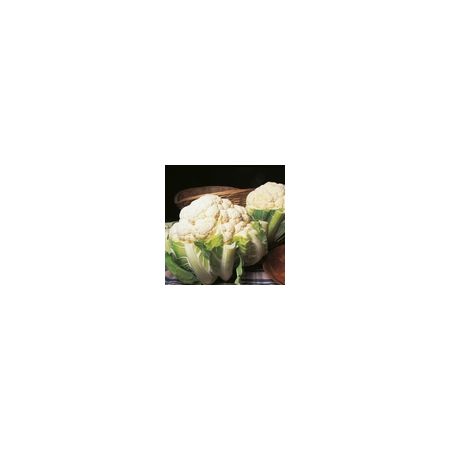 Cauliflower Autumn Giant Kings Seed