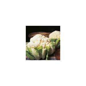 Cauliflower Autumn Giant Kings Seed