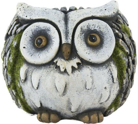 Cement Planter Owl Face