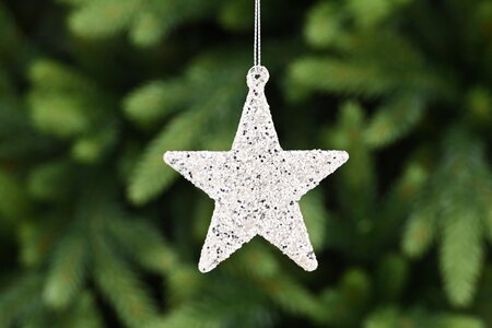 Champagne Glittered Glass Hanging Star Decoration 8cm