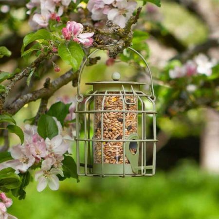 Chapelwood Compact Squirrel Proof Seed Feeder
