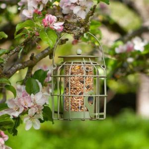 Chapelwood Compact Squirrel Proof Seed Feeder