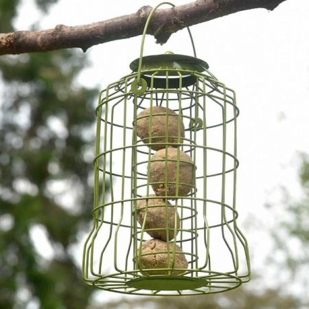 Chapelwood Original Squirrel Proof Fat Ball Feeder