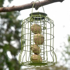 Chapelwood Original Squirrel Proof Fat Ball Feeder