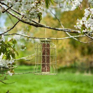 Chapelwood Original Squirrel Proof Peanut Feeder - image 1