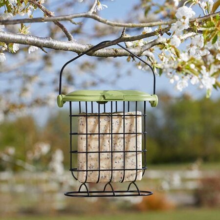 Chapelwood Suet Cake Feeder - image 1