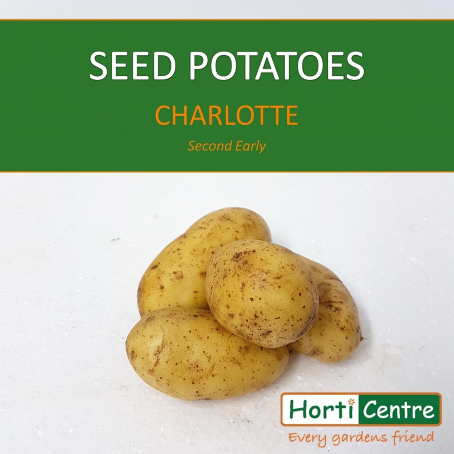 Charlotte Scottish Seed Potatoes 1.5Kg Horticentre Your Family Run