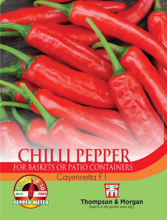 Chilli Pepper - Cayennetta F1 - Thompson and Morgan Seed Pack - image 1