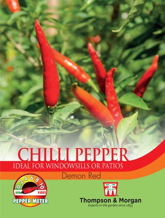 Chilli Pepper - Demon Red - Thompson and Morgan Seed Pack - image 1