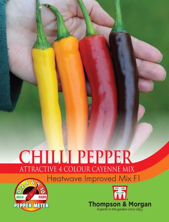Chilli Pepper - Heatwave Improved Mix F1 - Thompson and Morgan Seed Pack - image 1