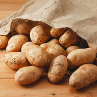 Christmas Seed Potatoes