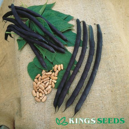 Climbing French Bean Cosse Violette Kings Seeds
