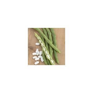 Climbing French Bean Lazy Housewife Kings Seeds