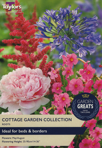 Cottage Garden Collection - Agapanthus, Astilbe, Incarvillea, Paeonia