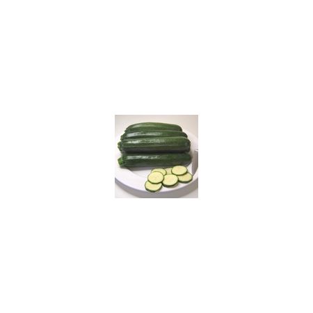 Courgette Defender F1 Kings Seeds