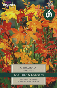 Crocosmia Montbretia Mixed 10 Bulb Pack