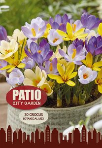Crocus - Botanical Mixed - 30 Bulb Pack