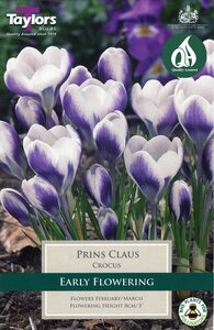 Crocus - Prins Claus - 10 Bulb Pack
