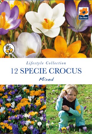 Crocus - Specie Mixed - 12 Pack